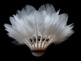 White feathered badminton shuttlecock from the top showcases precise aerodynamic design enhancing competitive gameplay performance