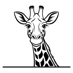 Obraz premium Giraffe portrait, black and white illustration, wildlife art, animal head, safari animal, african animal