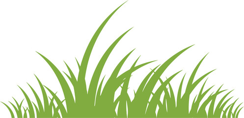 Lush green grass, a symbol of spring and summer growth, isolated on a clean white background