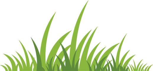 Fresh green blades of spring grass, isolated on a bright white background, suggest new growth and summer freshness