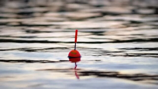 Looping Video Gentle Lake Ripples and Fishing Float Sunrise