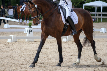 
A horse and rider participating in a dressage competition on a sandy field.
