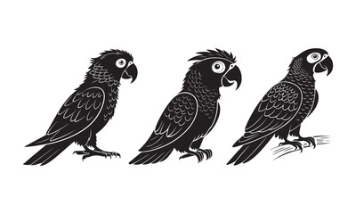 birds on a white background