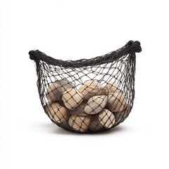 Obraz premium fishing net with shells caught inside on white background
