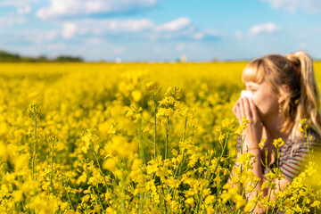 Fototapeta premium Yellow field flowers allergy. Selective focus.