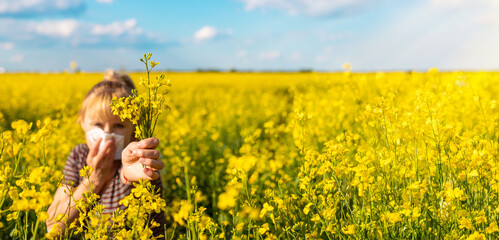 Fototapeta premium Yellow field flowers allergy. Selective focus.