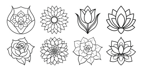set of black and white flowers design