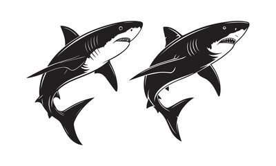 set of black and white shark