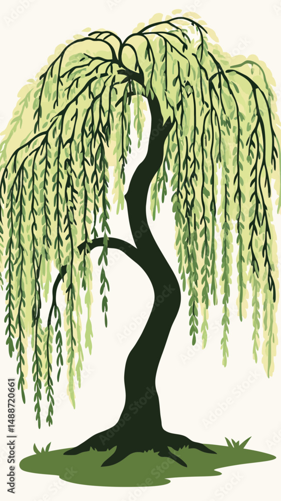 Poster minimalist vector illustration of a weeping willow tree with flowing drooping branches and leaves sy