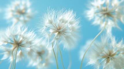 Obraz premium The display features hollow fibers of polyester set against a white background