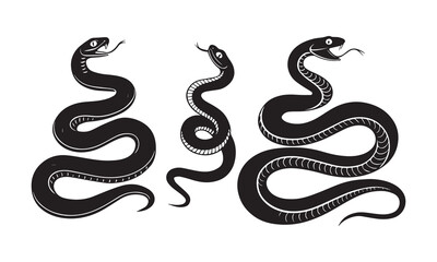 snake on white background