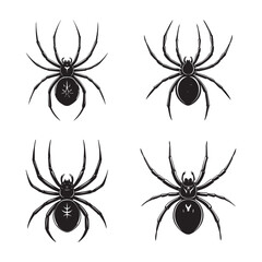 set of spider vector