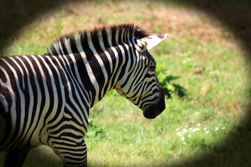 a bunch of random photos iv taken that i love.
