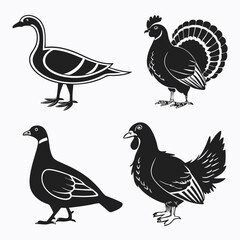 Obraz premium Black silhouettes of domestic and wildfowl birds