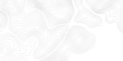 Abstract topography pattern seamless lines sea map modern design white background. Abstract digital topographic contour map concept space geometric strip grid line. Natural discovery of maps.