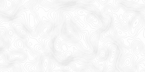 Abstract topography pattern seamless lines sea map modern design white background. Abstract digital topographic contour map concept space geometric strip grid line. Natural discovery of maps.
