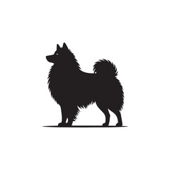 Majestic Icelandic Sheepdog silhouette vector featuring a fluffy double coat, curled tail, pointed ears, alert expression, and sturdy stance—perfect for Nordic dog lovers and graphic design projects.
