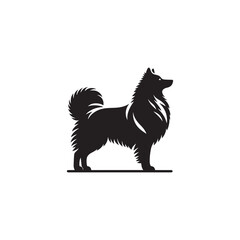Majestic Icelandic Sheepdog silhouette vector featuring a fluffy double coat, curled tail, pointed ears, alert expression, and sturdy stance—perfect for Nordic dog lovers and graphic design projects.
