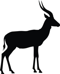Minimalist Antelope Silhouette Black and White Line Art Vector Illustration

