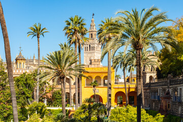 Fototapeta premium Giralda tower of Seville cathedral and Alcazar gardens, Andalusia, Spain