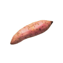 Single sweet potato close up shot on transparent background