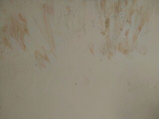 A close-up of a deteriorating wall shows peeling paint, moisture damage, cracks, mold spots, and a rough, uneven surface indicating prolonged water exposure and decay.