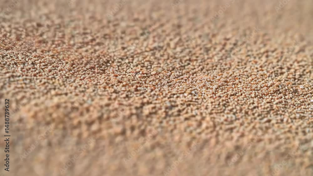 Poster close-up view of textured beige colored fine beach sand, creating a natural surface pattern, with fo