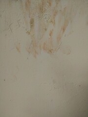 A close-up of a deteriorating wall shows peeling paint, moisture damage, cracks, mold spots, and a rough, uneven surface indicating prolonged water exposure and decay.