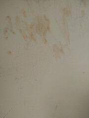 A close-up of a deteriorating wall shows peeling paint, moisture damage, cracks, mold spots, and a rough, uneven surface indicating prolonged water exposure and decay.