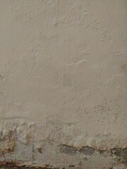 A close-up of a deteriorating wall shows peeling paint, moisture damage, cracks, mold spots, and a rough, uneven surface indicating prolonged water exposure and decay.