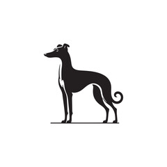 Italian Greyhound Dog Silhouette Vector – A sleek, elegant outline capturing the breed’s slender frame, arched back, and graceful stance, perfect for artistic, pet-themed design projects.
