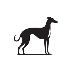 Italian Greyhound Dog Silhouette Vector – A sleek, elegant outline capturing the breed’s slender frame, arched back, and graceful stance, perfect for artistic, pet-themed design projects.
