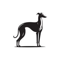 Italian Greyhound Dog Silhouette Vector – A sleek, elegant outline capturing the breed’s slender frame, arched back, and graceful stance, perfect for artistic, pet-themed design projects.
