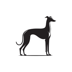 Italian Greyhound Dog Silhouette Vector – A sleek, elegant outline capturing the breed’s slender frame, arched back, and graceful stance, perfect for artistic, pet-themed design projects.
