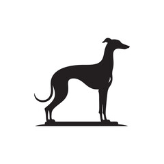 Italian Greyhound Dog Silhouette Vector – A sleek, elegant outline capturing the breed’s slender frame, arched back, and graceful stance, perfect for artistic, pet-themed design projects.
