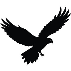 Fototapeta premium hawk-diving-silhouette-vector-isolated-on-white-ba (1).eps