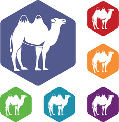 Camel icons set