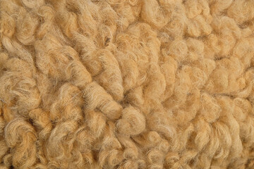 Curly wool pattern and texture background.For graphic design,3D rendering and banner background