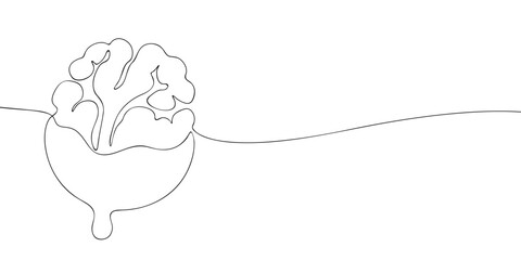 Minimalist line art of a walnut dipped in chocolate, ideal for food, snack, or nutrition-related graphic design projects.