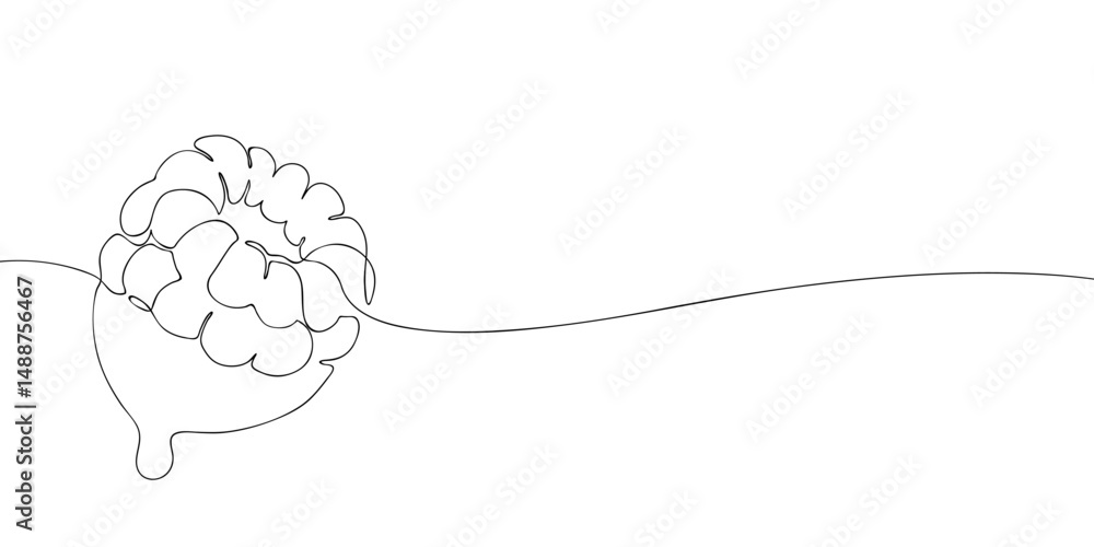 Poster minimal continuous line art of a raspberry dipped in chocolate, elegant sketch style perfect for des