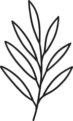 Hand-drawn black botanical line branch illustration. Vector.