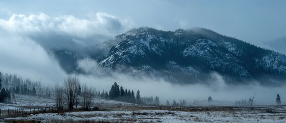 Fototapeta premium Misty mountain landscape in winter. The fog swirls around the dark green trees and snow-covered peaks.