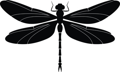 Highly detailed black and white illustration of dragonfly with intricate anatomical wings hyper-realistic macro style

