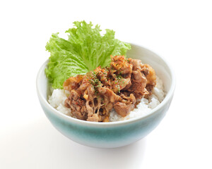 Isolated Beef Bowl With Lettuce Served Over Steamed Rice Featuring a Savory Topping