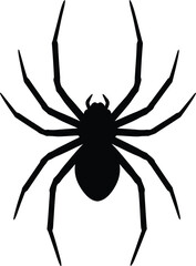 Isolated black spider, an arachnid bug, ready for Halloween or a creepy wildlife illustration
