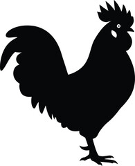 Rooster farm animal bird isolated on white