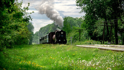 Steam locomotive on the move. Narrow gauge railway.The locomotive smokes, giving a signal. Weekend tour. Tourism Ukraine. Picturesque route.