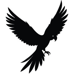 Fototapeta premium macaw-parrot-flying-silhouette-vector-illustration (1).eps