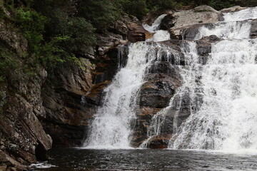 Obraz premium Waterfall in the blue ridge mountains of Tennessee.