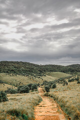 A Couple on a Hike in Horton Plains National Park, Sri Lanka.